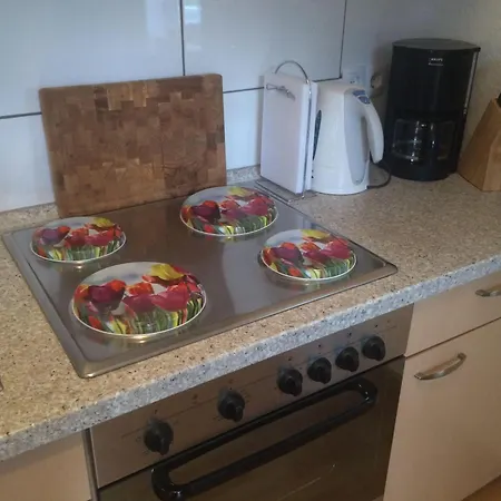 Fewo-lasse-mit-grossem-garten Appartement Tating
